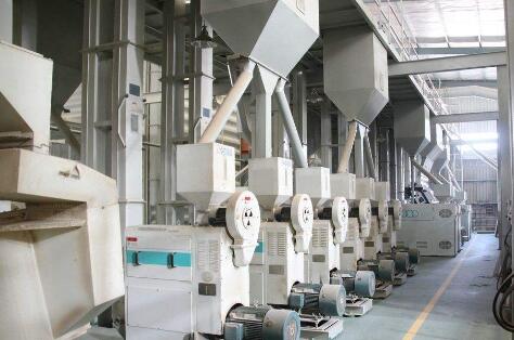 成套雜糧加工設備廠家講述雜糧設備的優勢(圖1)