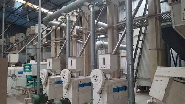 糧食加工行業中玉米深加工設備有哪些優勢(圖1)