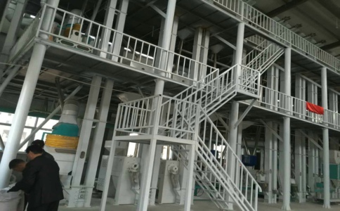 玉米加工機械采用氣力運輸對生產玉米有哪些好處?(圖1) 玉米加工機械